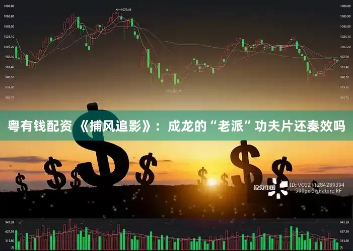粤有钱配资 《捕风追影》：成龙的“老派”功夫片还奏效吗