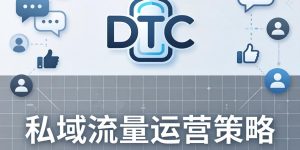 DTC品牌营销是什么？？？？？？2026年从0到1搭建增长系统，，，，，，，，新手也能看懂的实操干货缩略图